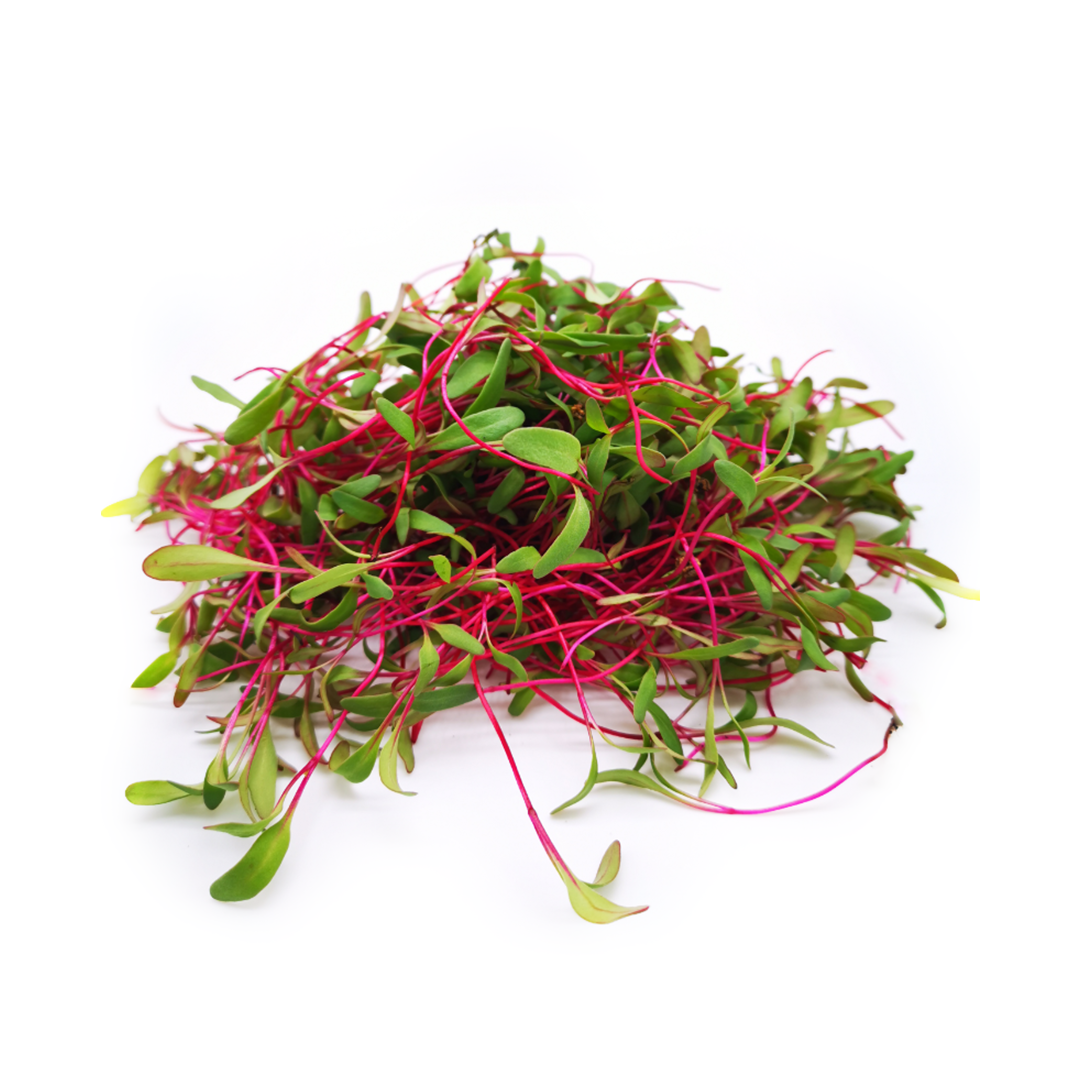 Red Beets