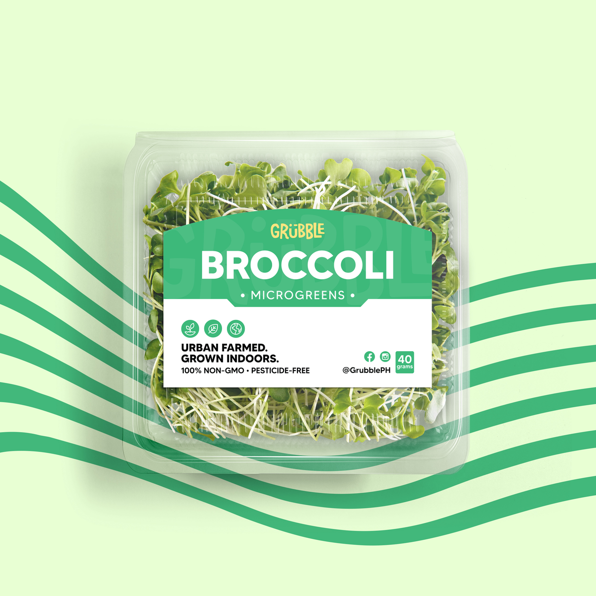 Micro Polybeans Grubble PH | Alfalfa Microgreens