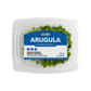 Arugula