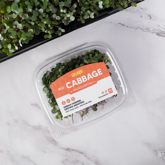 Red Cabbage