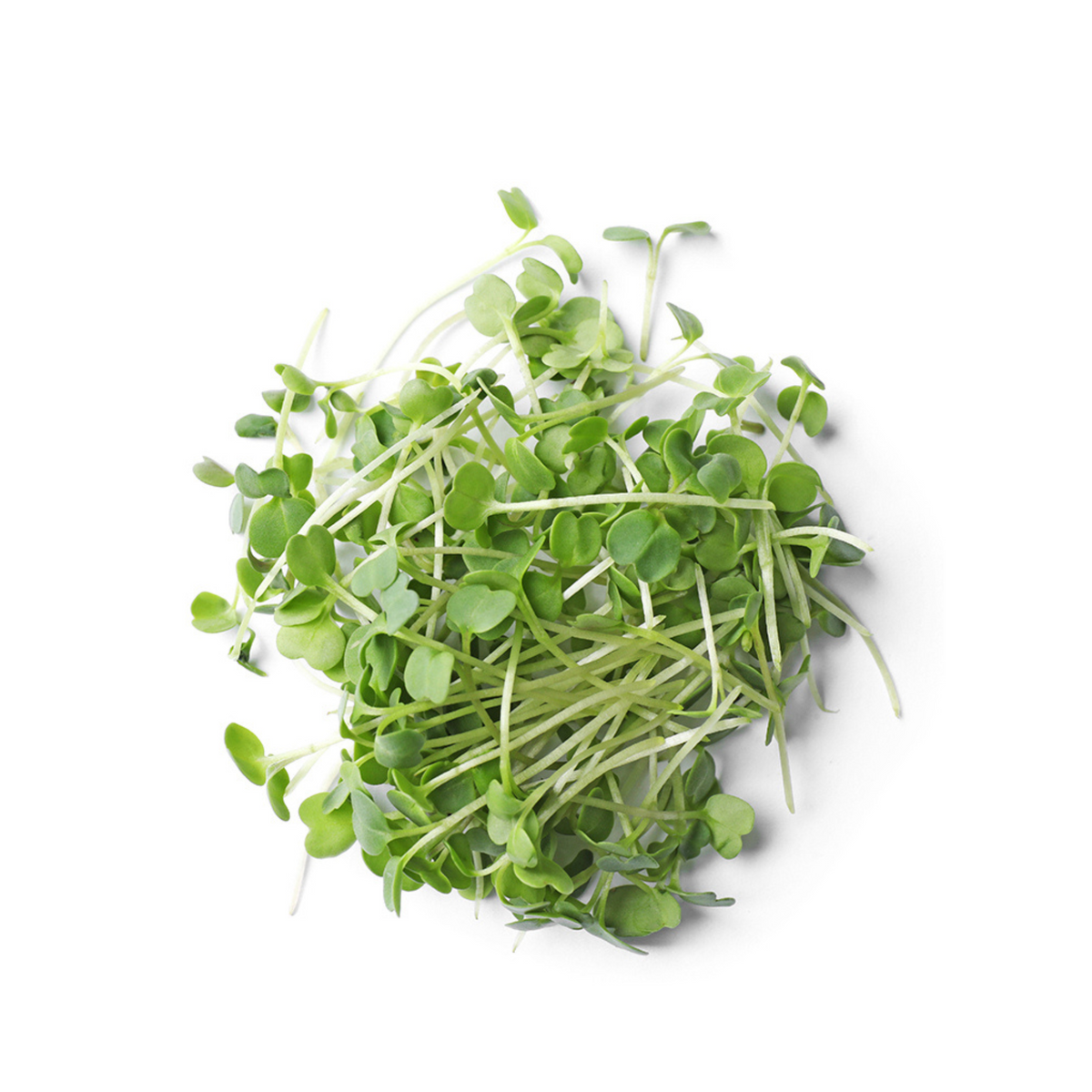 15+ Arugula Microgreen Grubble PH | Arugula Microgreens