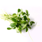 Pea Shoots (Dou Miao)